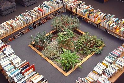 Overhead shot of book sale in the Landmark College 图书馆